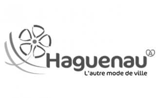 Haguenau Terre de Réussites - Partenaire - Ville de Haguenau